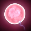 Thumbnail of related posts 055
