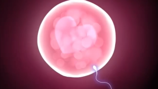 Thumbnail of post image 110
