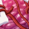 Thumbnail of related posts 181