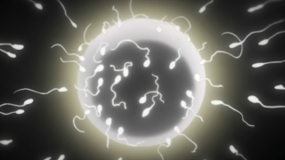 Thumbnail of post image 053